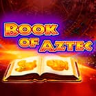 Book of Aztec icon