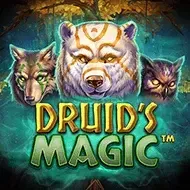 Druid's Magic game thumbnail